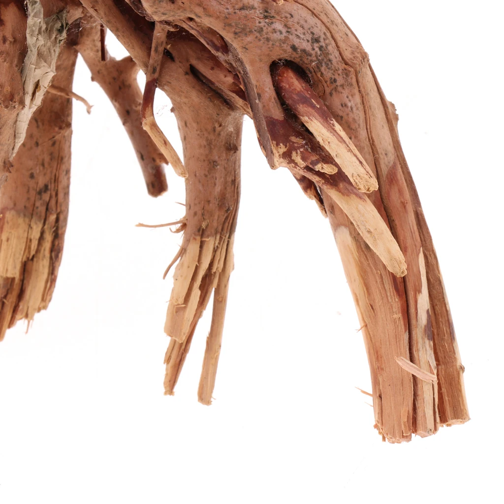 Rhododendron Wood Root with Small Jungle Vines DIY Decor for Reptiles and Amphibians Habitat Décor