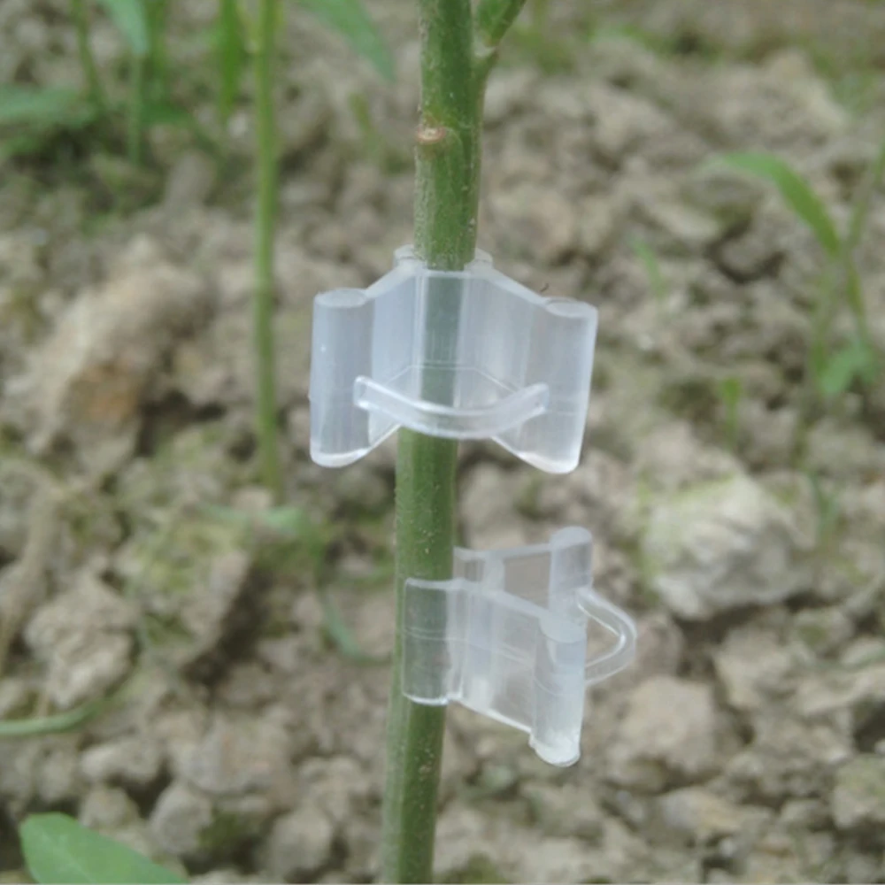 100 шт./упак. прозрачный мини-пластиковый прививки зажимы для подвязки томатов растение поддерживает соединяет лозы растения сеялки прививки зажимы
