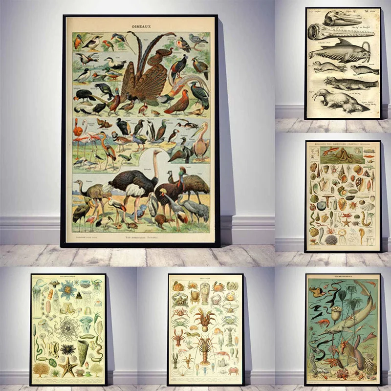 Retro-Ocean-Sea-Shell-Fish-Animal-Vintage-Life-Chart-Biology-Poster-and ...