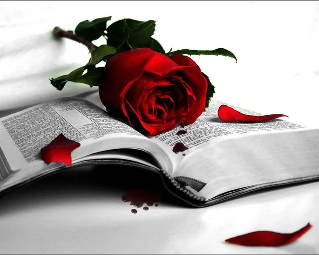 Алмазная вышивка красный пейзаж алмазная живопись, красные цветы Роза вышивка крестиком украшение дома подарки ко дню Святого Валентина - Цвет: Фиолетовый