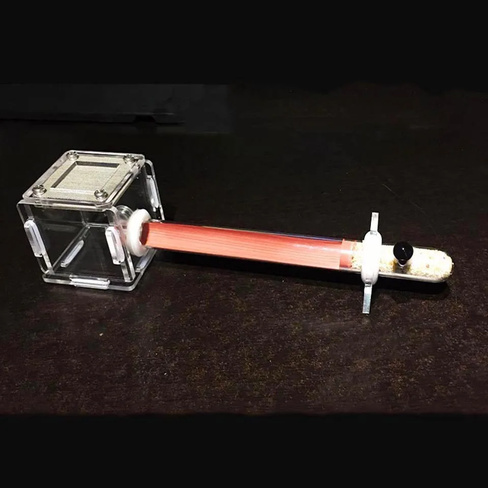 Mini nido de tubo de prueba individual, nuevo nido de hormiga acrílico, repollo, hormigas, casa de granja, 15x150mm