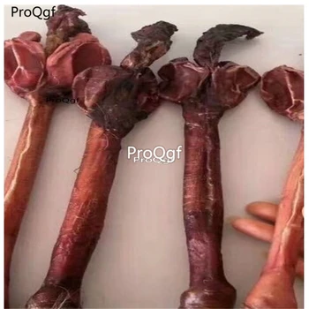 

Ngryise 2Pcs A Set Deer whip