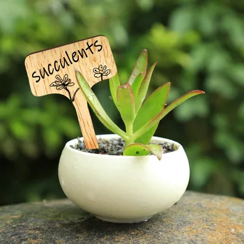 

Name Plant Label 10cm*6cm*0.3cm Accessories Parts Professional Replacement