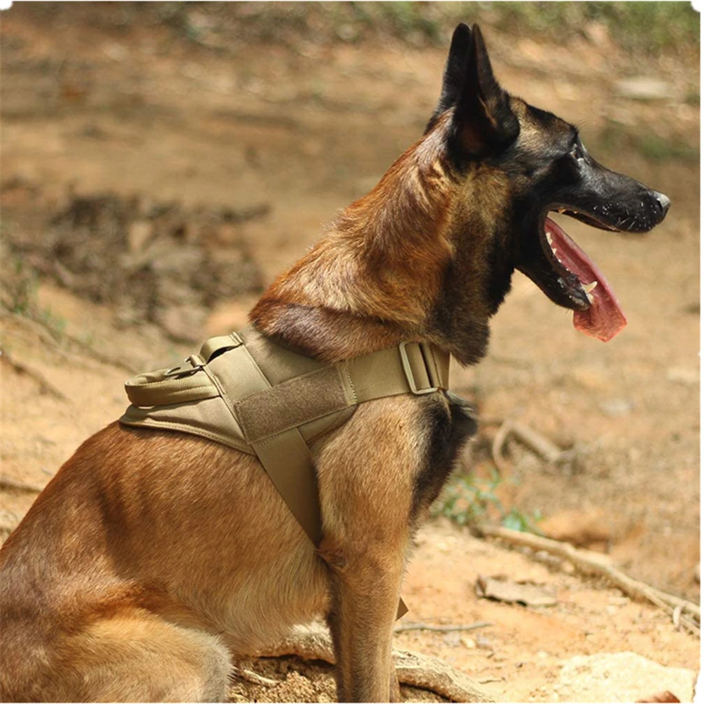 Tactical Big Dog Harness Chest Dog Vest German Shepherd Pet Dog Pectoral Collar Nylon Adjustable Training For Medium Large Dogs Harnesses Aliexpress