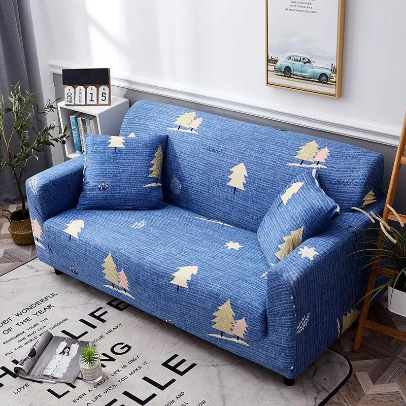 13005321594_559395203