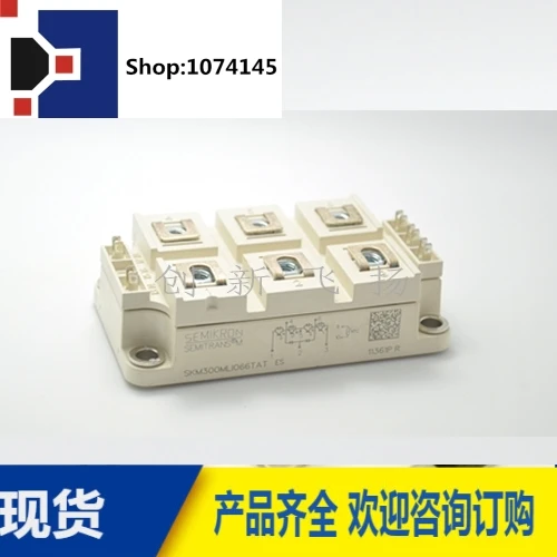 SKM300MLI066TAT/
