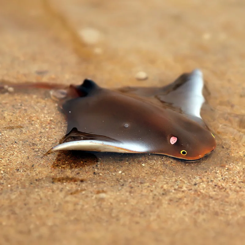 10779007173_1464955482