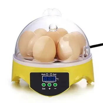 

7 Egg Hatchers Farm Hatchery Incubator Brooder Machine Automatic Chicken Egg Incubator Bird Quail Brooder Temp Humidity Control