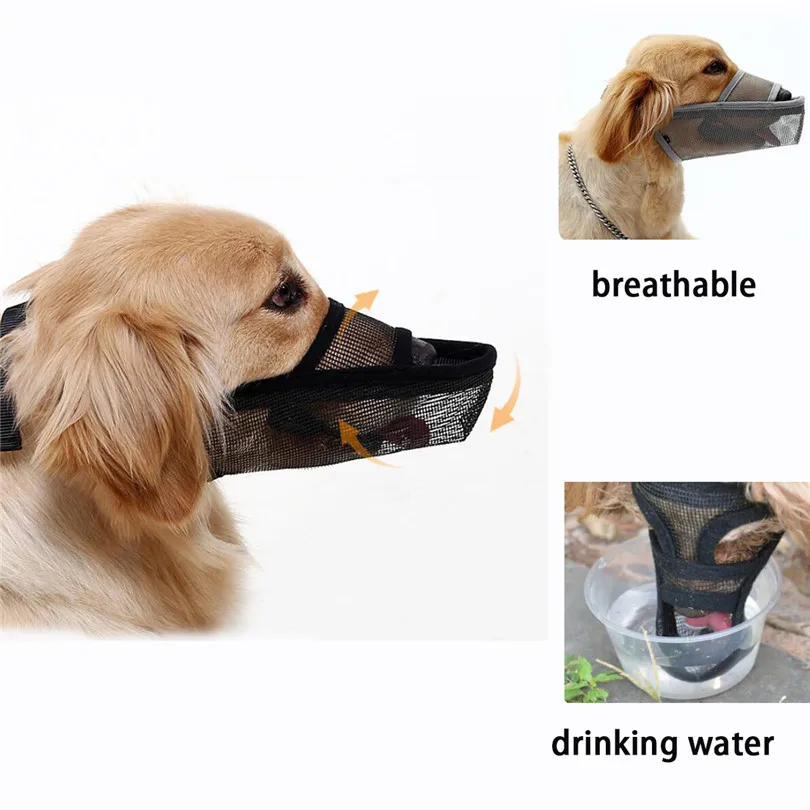 top paw muzzle