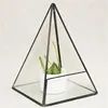 Pyramid Geometric Glass Terrarium Succulent Plants Container Planter Bonsai Flower PotGardening Decoration 2