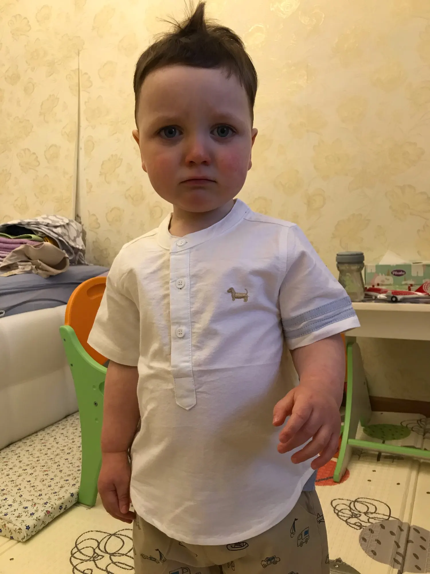 Short Sleeve Shirt Cotton Cartoon Dog Print Mandarin Collar Boys