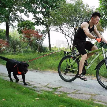 

Nylon Strong Pet Dog Leash With Gloves Set Hands Free Retractable Elastic Belt Dogs Leashes Outdoor Riding Dog Training Supplies