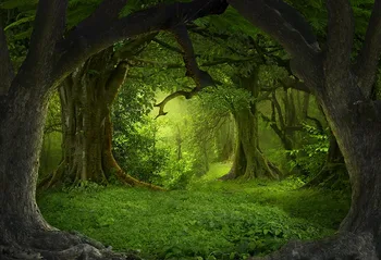 

Mysterious forest photo backgrounds vinyl Fotografia drama picture Photography backdrops for children Photo Studio props LV-837