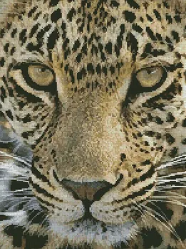 

14/16/18/25/22 COLOR AIDA hotselling lovely counted cross stitch kit leopard panther beast head