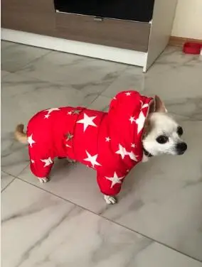 Все звезды зимняя теплая одежда для собак водонепроницаемая куртка для питомца Чихуахуа Одежда из Йоркшира для собак - Цвет: Красный