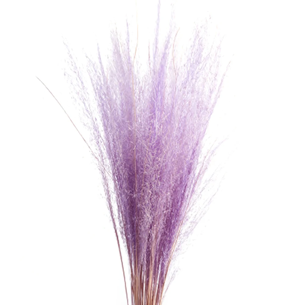 purple 50 стеблей сухие цветы маленькая пампасная трава Phragmites коммуны сушеные цветы Искусственные цветы украшение дома DNJ998 - Цвет: purple
