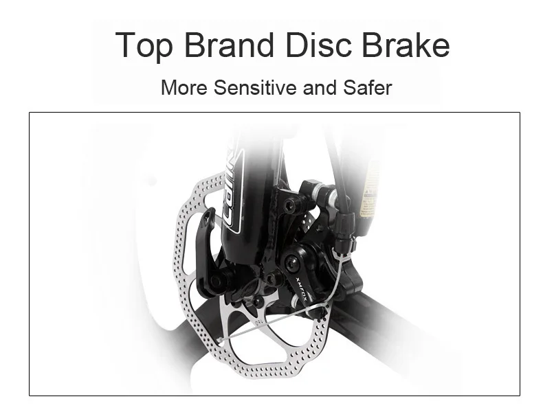 Discount Electric Bicycle 48V 10AH 2 Wheels Electric Bicycle 240W 5 Grade Assist Electric Mountain Bike 7 Speed Adults Electric Scooters 16