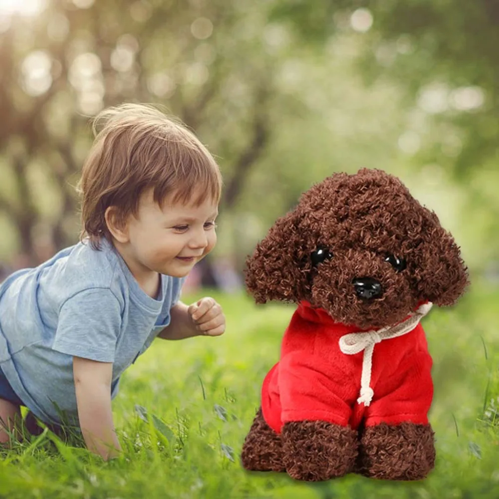 Teddy Dog Rag  (11)