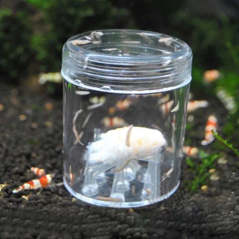 Couleur B Piège à escargot Transparent pour Aquarium, outil de nettoyage pour Aquarium, stylo de