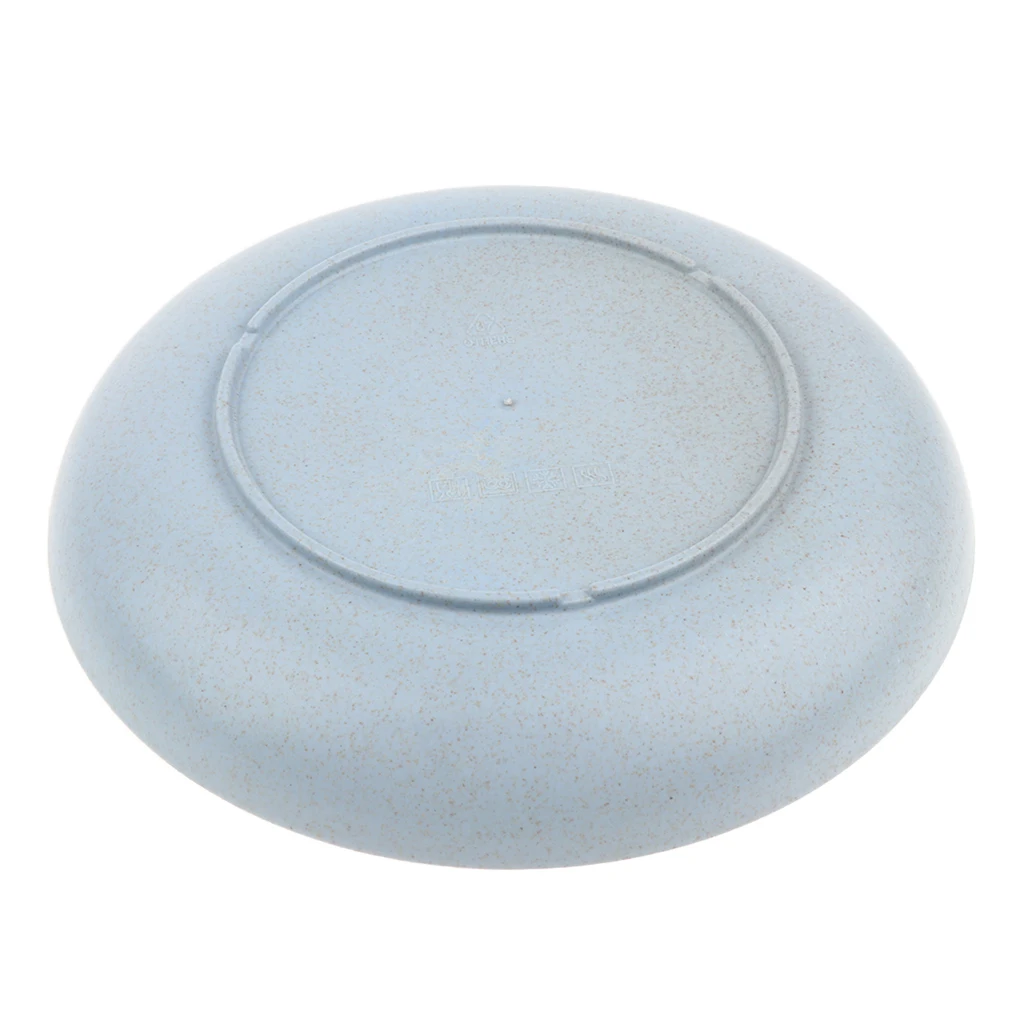 Round Tray Dinner Plate Dishes Food Snacks Sushi Steak Food Dessert Lunch Container Outdoors Camping Plate