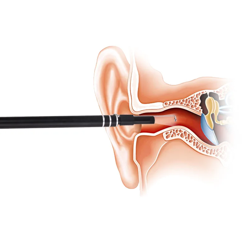 9204595560_789338841