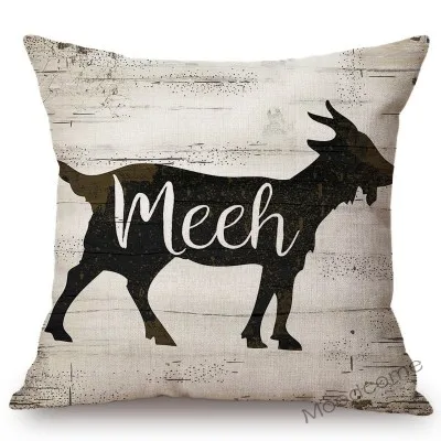 conew_n221 (4) 副本