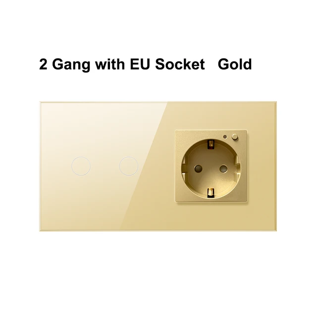 Gold 2gang socket