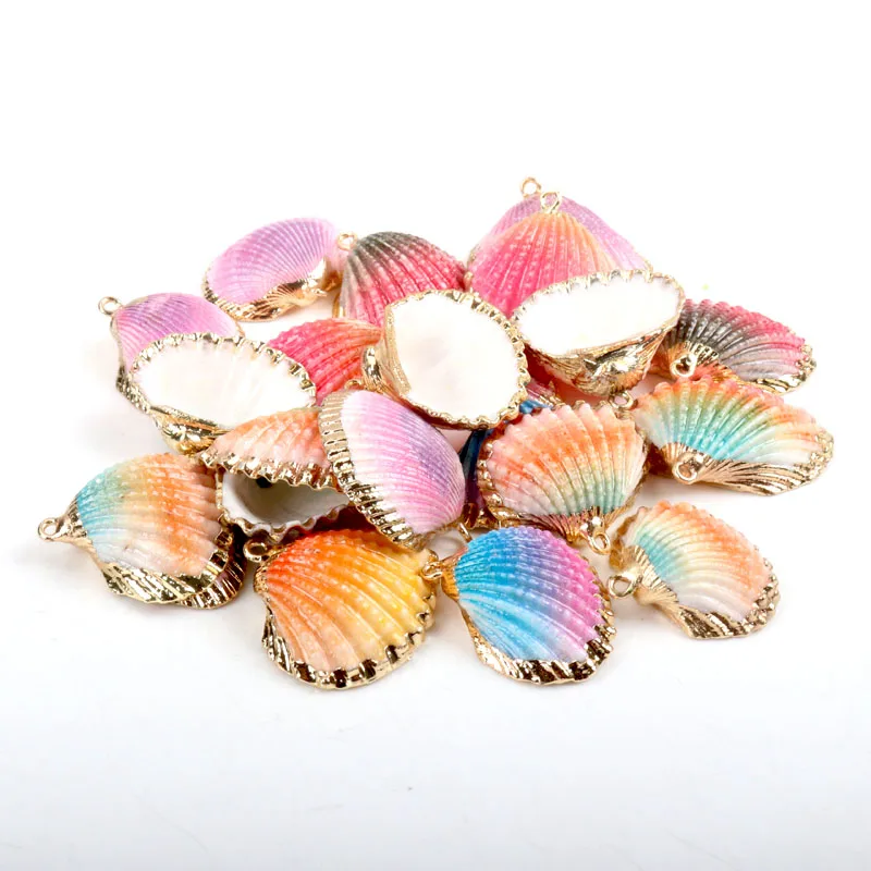 Natural Conch Shells Crafts Seashells Decoration Conch Shells Decoration 5 Diy Aliexpress