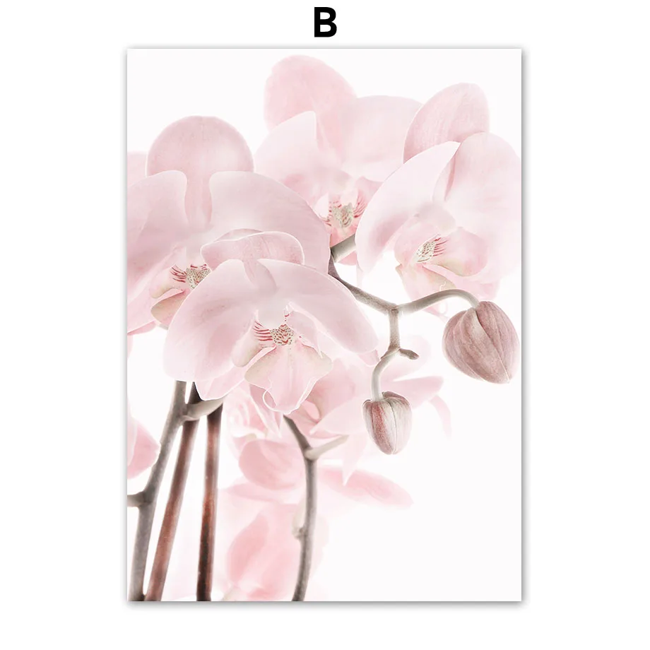 Pink-Flower-Phalaenopsis-Peony-Dahlia-Quotes-Wall-Art-Canvas-Painting-Nordic-Posters-And-Prints-Wall-Pictures (4)