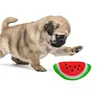 Pet Products