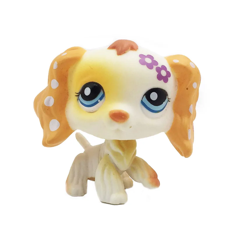 lps dog with long ears