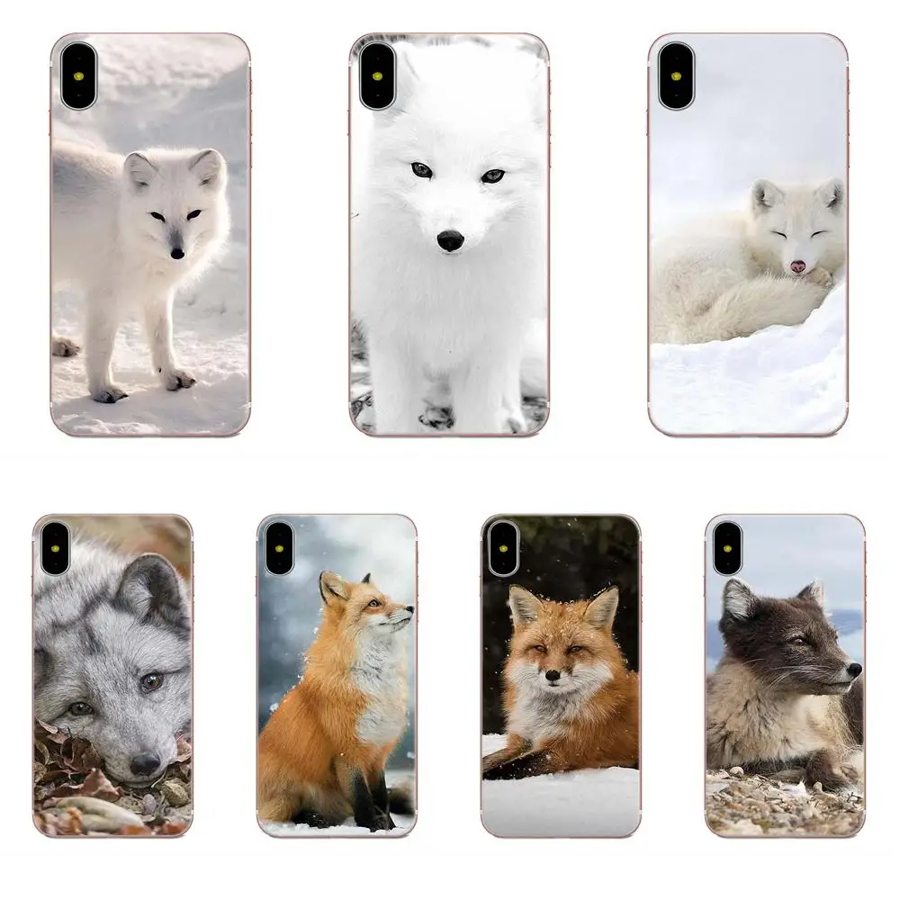 Прозрачный ТПУ чехол милый Arctic Fox для Samsung Galaxy Note 8 9 10 Pro S4 S5 S6 S7 S8 S9 S10 S11 S11E S20 Edge Plus Ultra