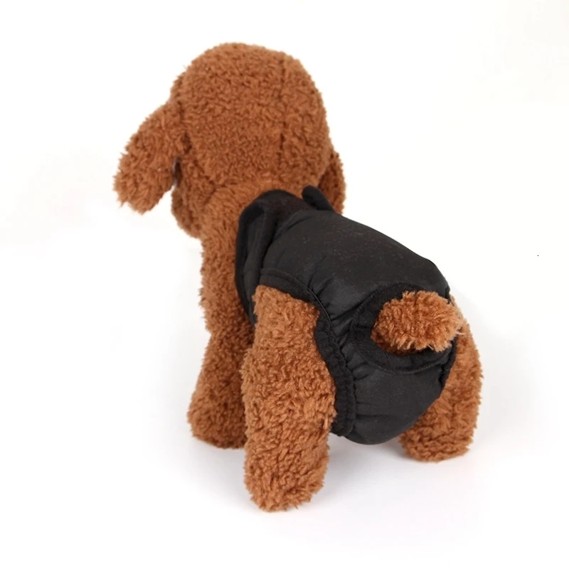 dog underwear.jpg_.webp