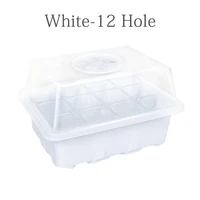White-12 holes