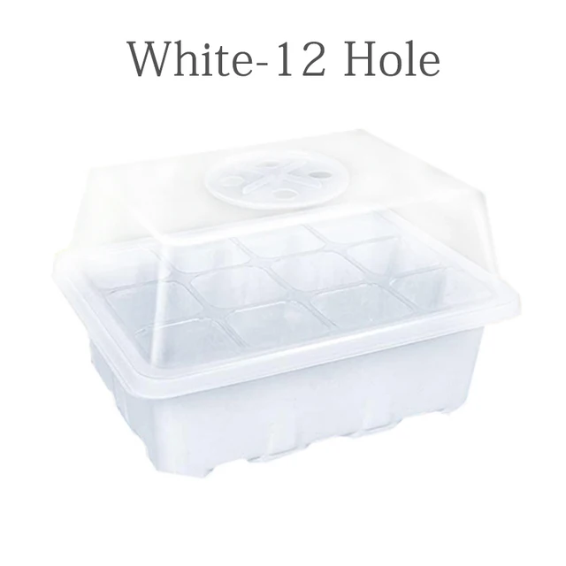 White-12 holes