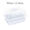 White-12 holes