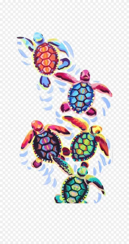 甲鱼美术画布龟甲画龟