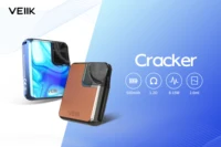 Electronic Cigarettes
