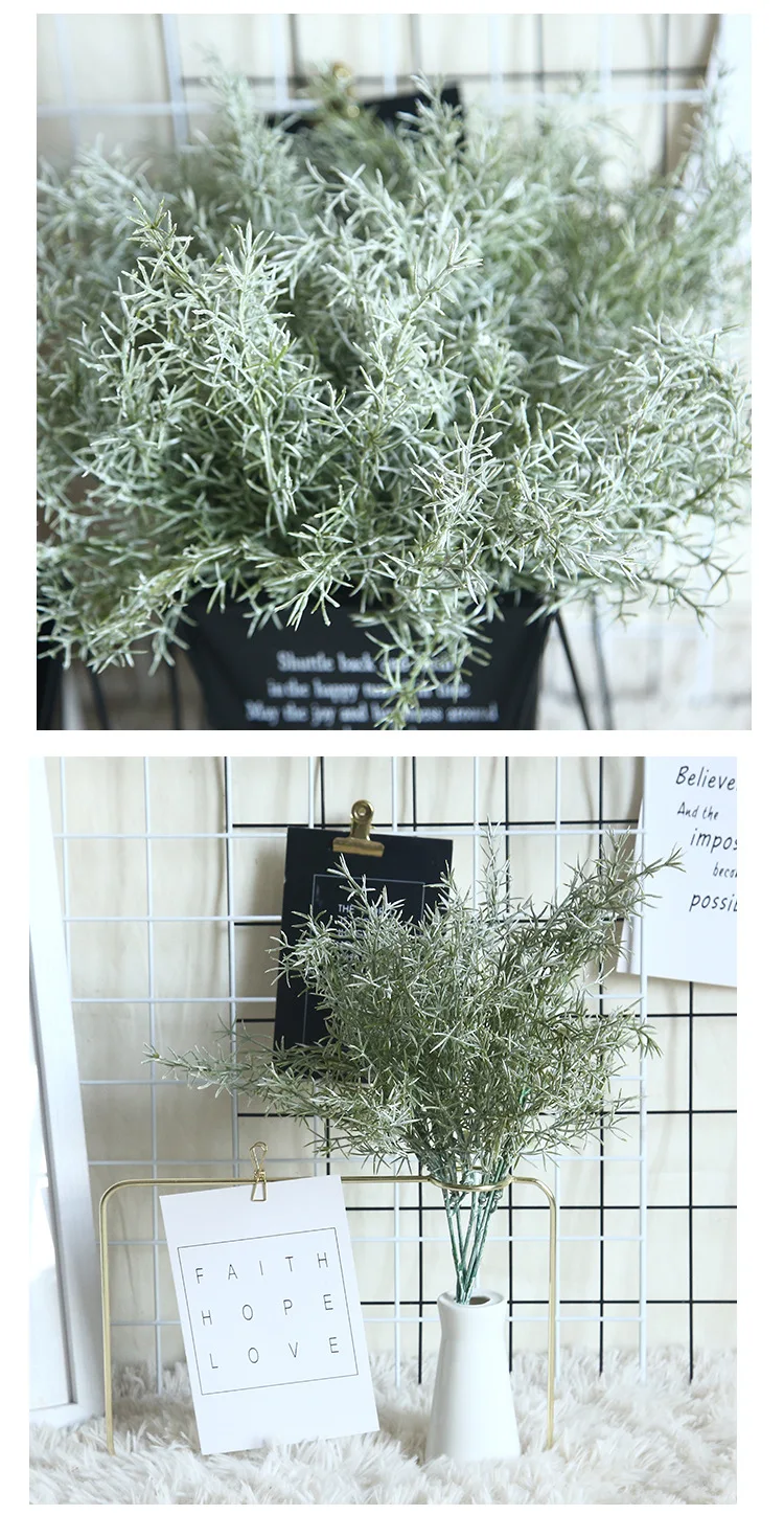 11122518723_1245478559