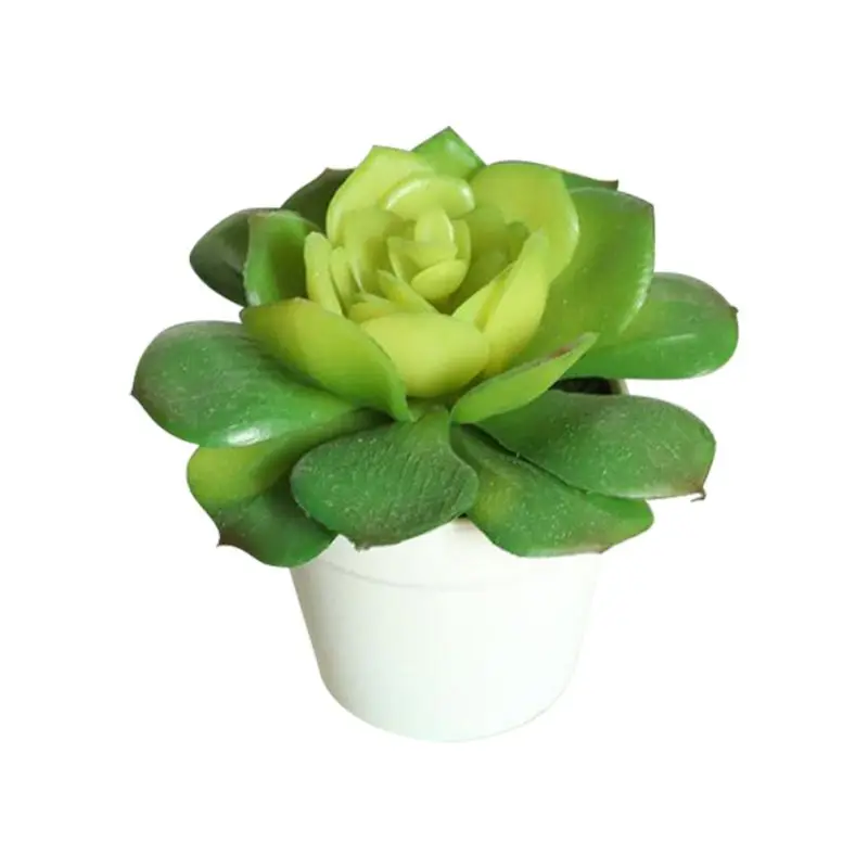 Искусственное суккулентное растение мини-размера орнамент Искусственный суккулент в горшке кактус растения с пластиковым горшком для украшения дома и офиса