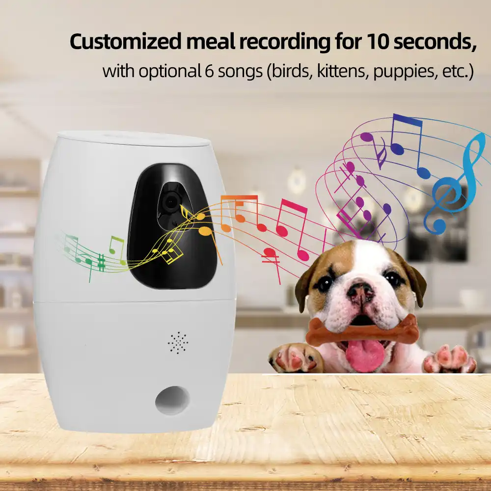 automatic treat dispenser