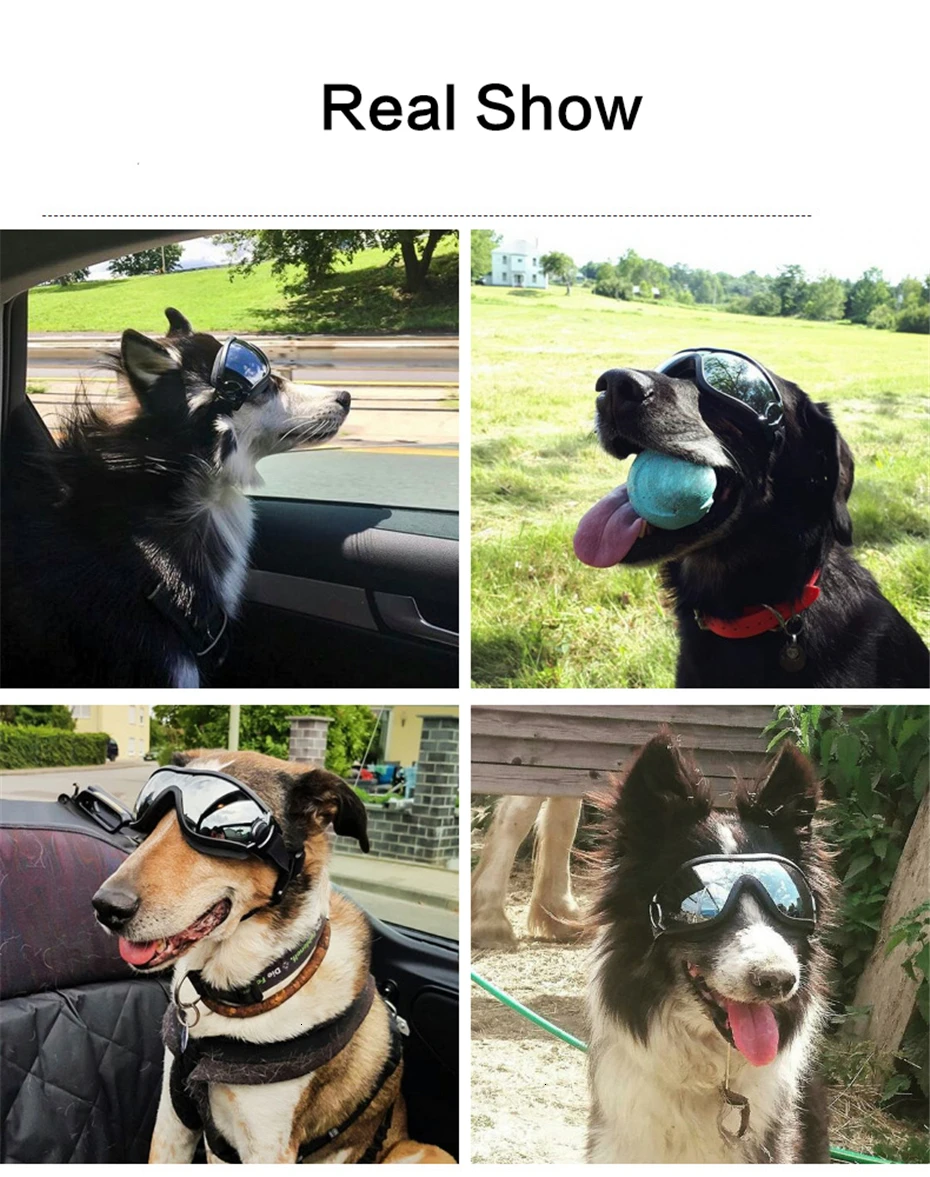 Новые солнцезащитные очки для собак, Непродуваемые очки средних и больших размеров, очки для собак, защита от солнца, защита от солнца, кошачий глаз, аксессуары для домашних животных, очки