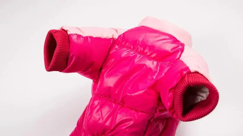 QQ图片20191021105458