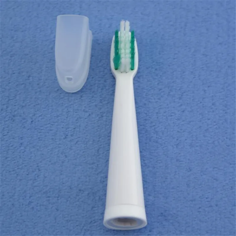 toothbrush head 10