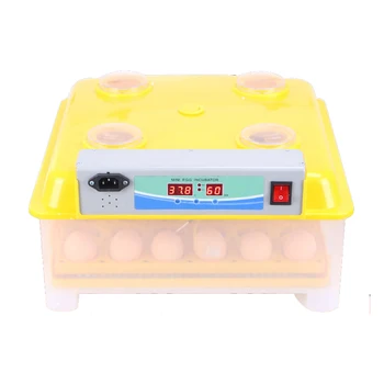 

56/98/294 Eggs Incubator Full Automatic Incubator Multi-use Incubators with Dual Power with Inverter 220V/DC12V Incubation Box