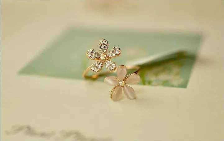 3921825274_1764575590