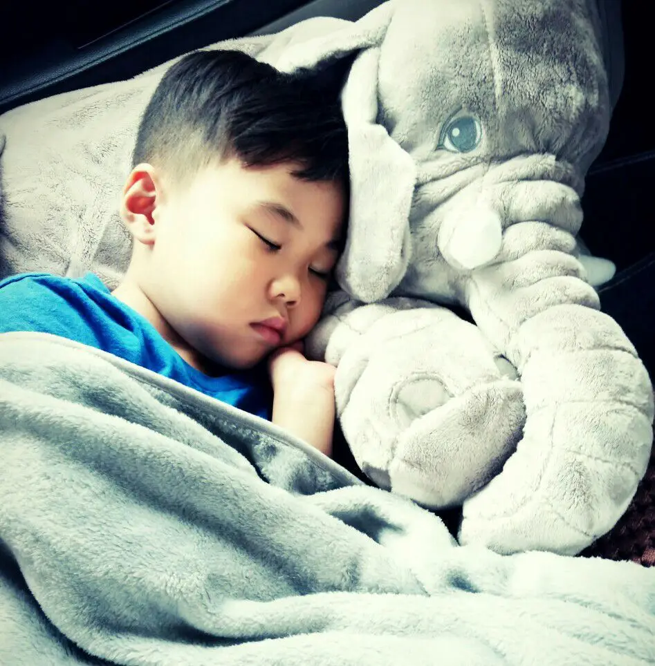 

Elephant Pillow Blanket to Sleep with Elephant Doll Baby Airable Blanket Pacify Toy Accompany Play