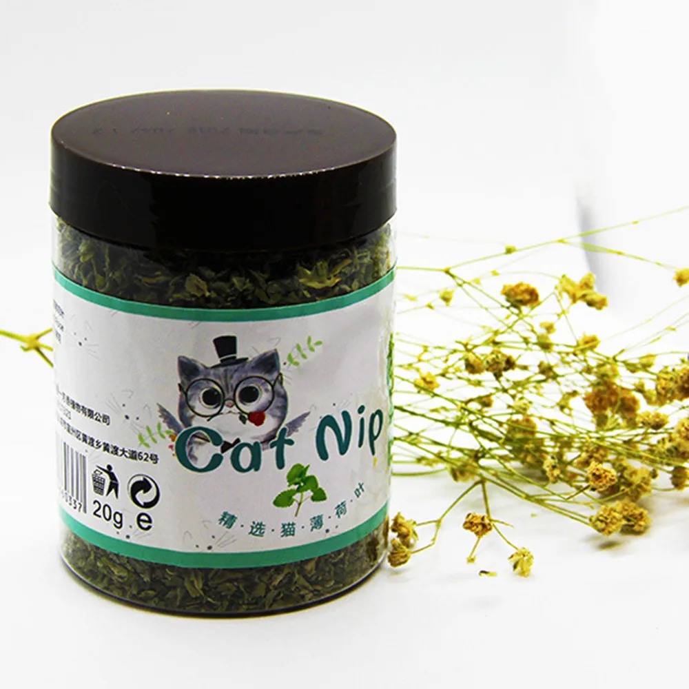 20 g 20 г натуральная кошачья мята, одна коробка, здоровая Органическая кошачья мята для кошек, энергосберегающие игрушки для кошек, здоровые товары для кошек - Цвет: 20 g