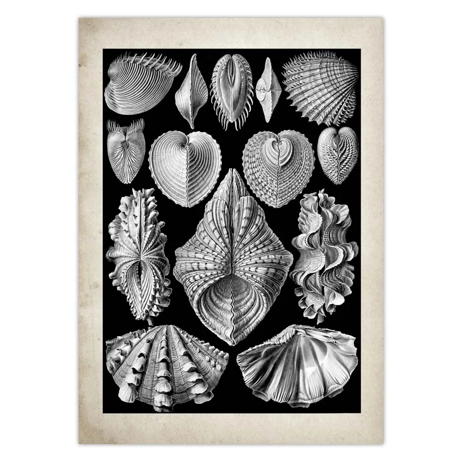 H46ee6074e56a4ad5b3c87354d37ea14bh