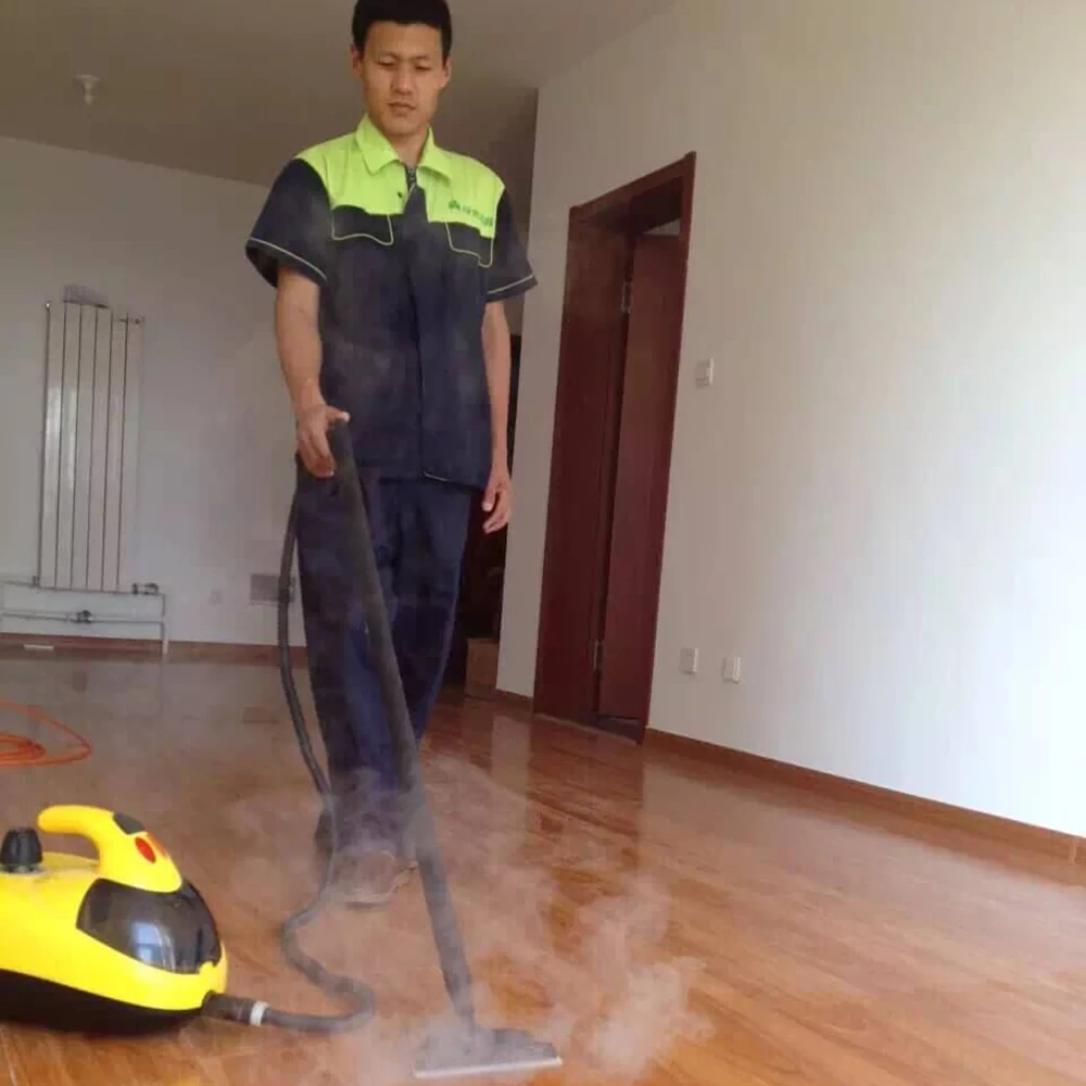 THANKSHARE 다기능 스팀 청소기, 1500W 모바일 청소 기계, 900ml 물 탱크, 가정 주방 자동차 유리 220V 